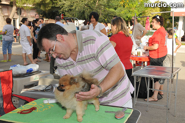 Concurso canino Fiestas de Santiago 2009 - 48